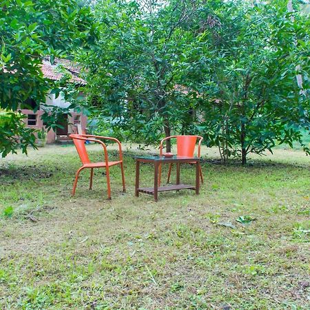Raikar Guest House بوغمُلو المظهر الخارجي الصورة