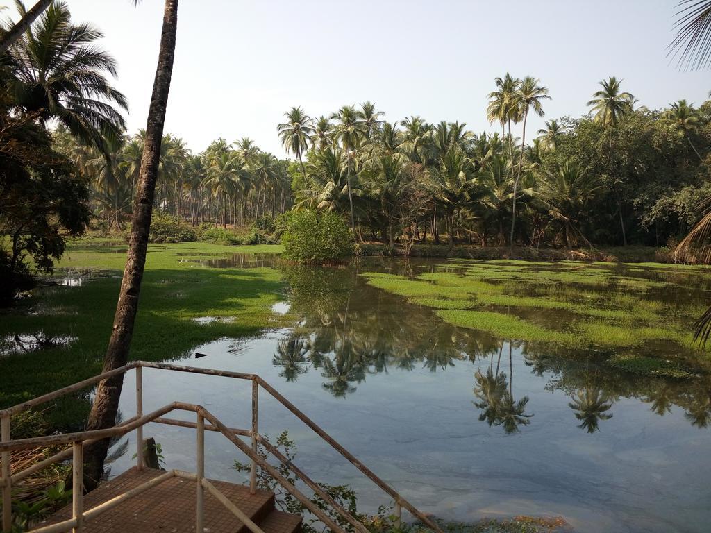 Raikar Guest House بوغمُلو المظهر الخارجي الصورة